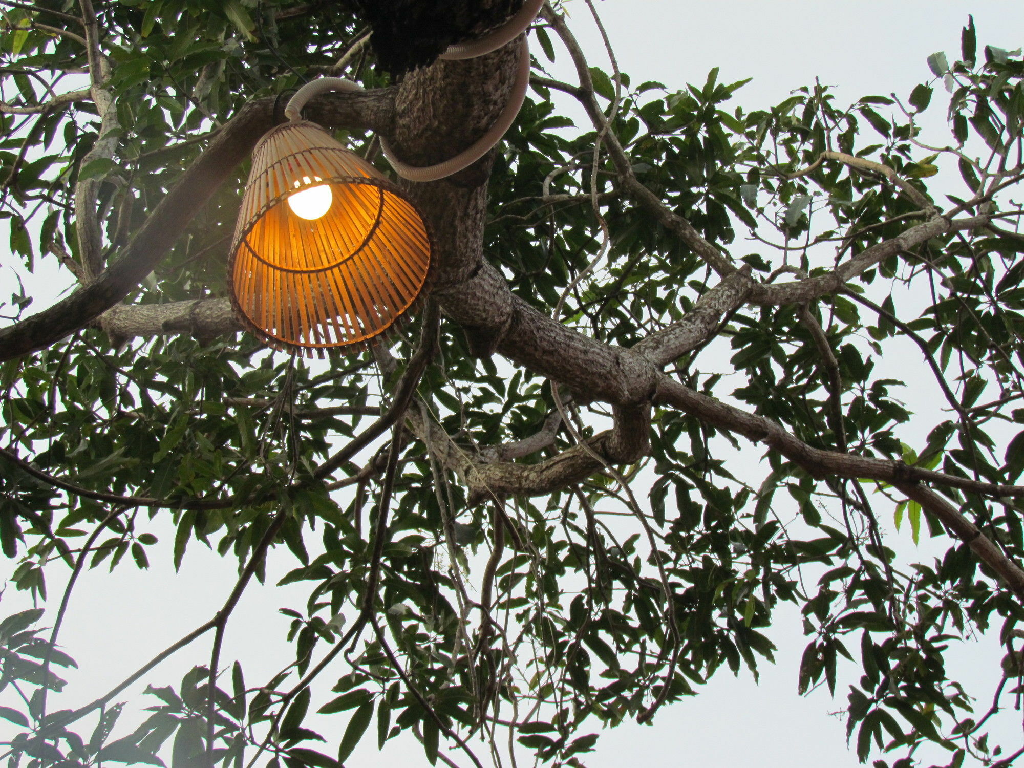 Mango Beach Resort Phú Quốc Exterior foto